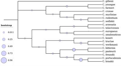 A brief insight into Citrobacter species - a growing threat to public health